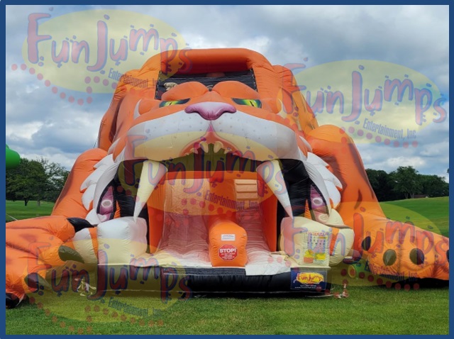 Sabretooth Tiger Slide - 2